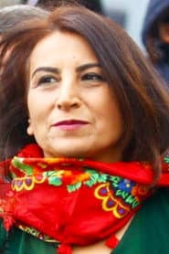 Photo of Aysel Tuğluk