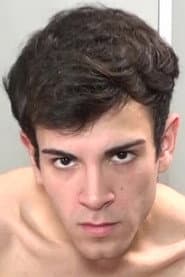 Photo of Swan