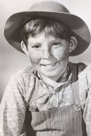 Photo of Stephen Wootton