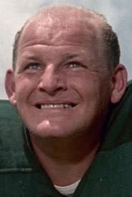 Photo of Ray Nitschke