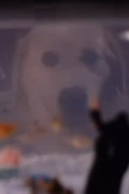 Photo of Thor