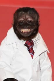 Photo of Crystal the Monkey