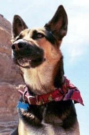 Photo of Sadie