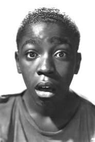 Photo of Paul White