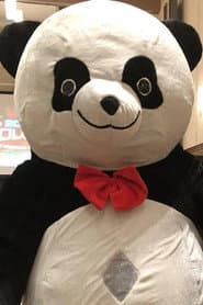 Photo of Andreza Giant Panda