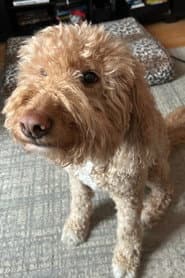 Photo of Esme