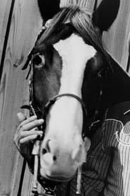 Photo of Champion