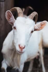 Photo of Patricia