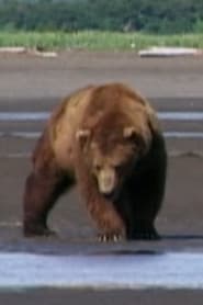 Photo of Sergeant Brown
