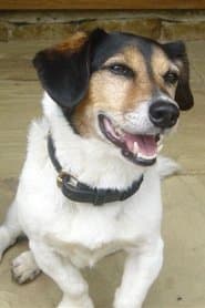 Photo of Strapper