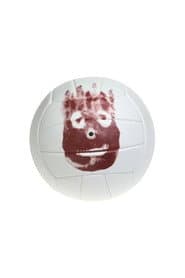 Photo of Wilson the Volleyball