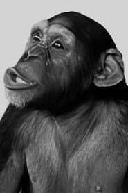 Photo of Tamba