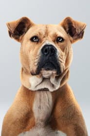 Photo of Bal