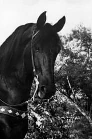 Photo of Black Jack