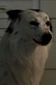 Photo of Jake