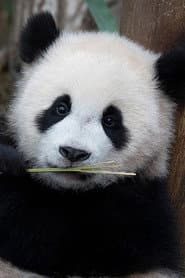 Photo of Hui Bao