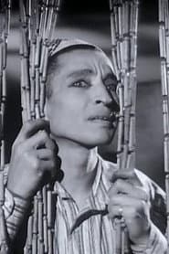 Photo of Mounir ElFangary