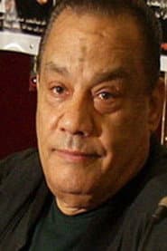 Photo of Helmi Bakr