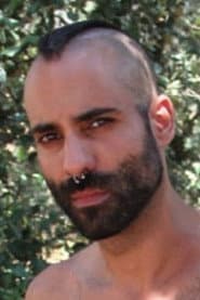 Photo of Punkcher