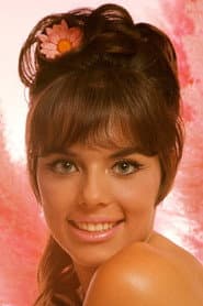 Photo of Jo Collins