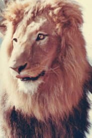 Photo of Zamba