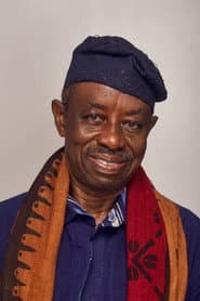 Photo of Tunde Kelani