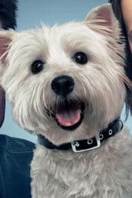 Photo of Olivia