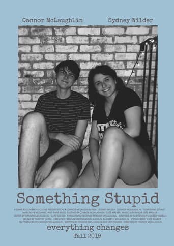 Poster for Something Stupid