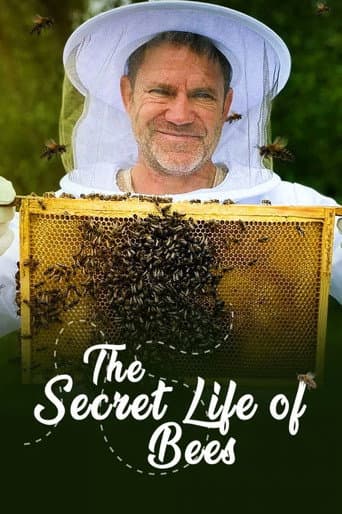 Poster for The Secret Life of Bees