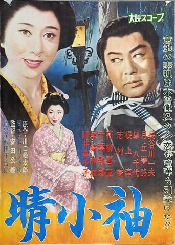 Poster for 晴小袖