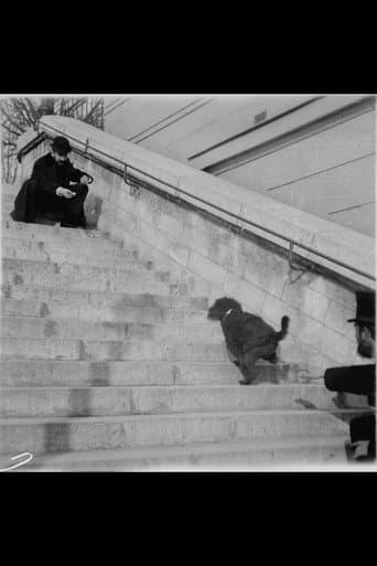 Poster for Chien, Caniche Noir Descendant et Montant Un Escalier