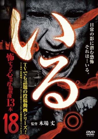 Poster for 「Iru.」~ Kowasugiru Tōkō Eizō 13-hon ~ Vol.18