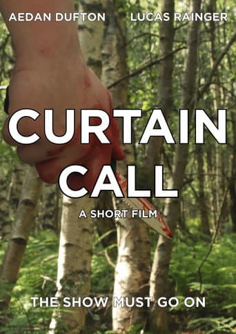 Poster for Curtain Call