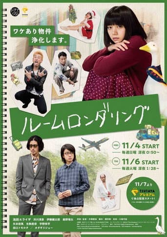 Poster for Room Laundering