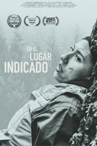 Poster for En el lugar indicado