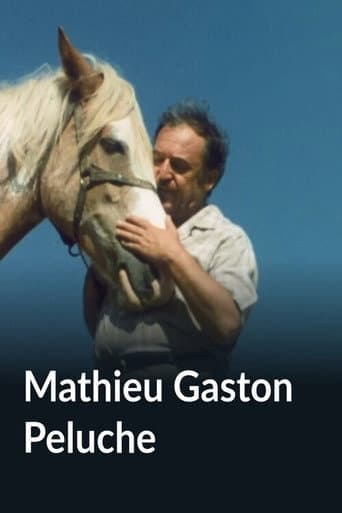 Poster for Mathieu Gaston Peluche