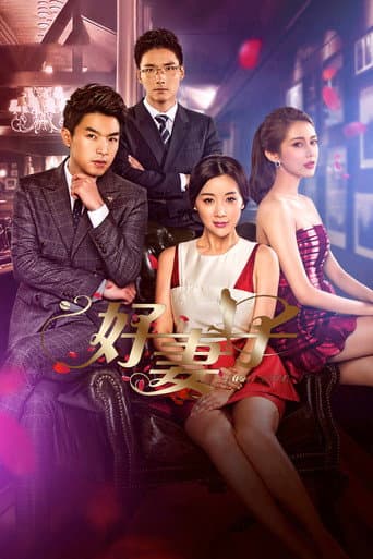 Poster for Good Wife
