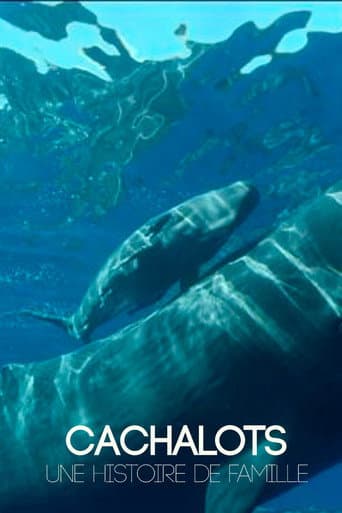 Poster for Cachalots, une histoire de famille
