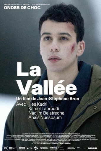 Poster for La Vallée