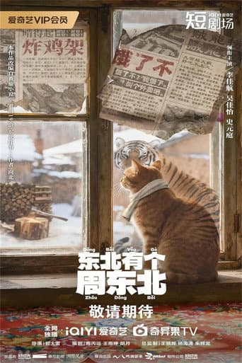 Poster for 东北有个周东北