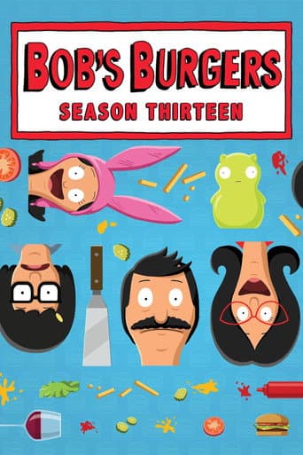 Poster for Season 13