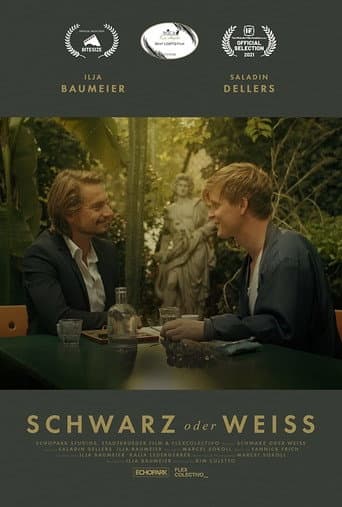 Poster for Schwarz oder Weiss