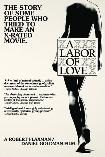 Poster for A Labor of Love