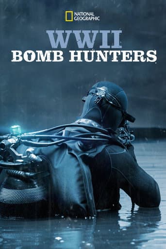 Poster for WWII Bomb Hunters