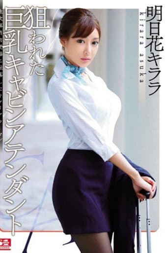 Poster for The Big-Titted Cabin Attendant is Targeted