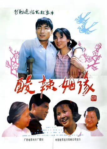 Poster for 酸辣姻缘