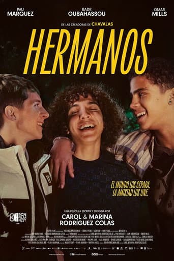 Poster for The Gang