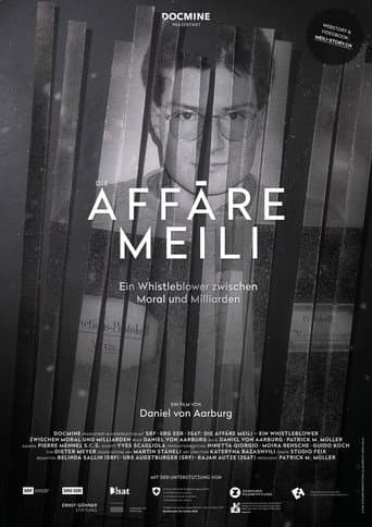 Poster for Die Affäre Meili