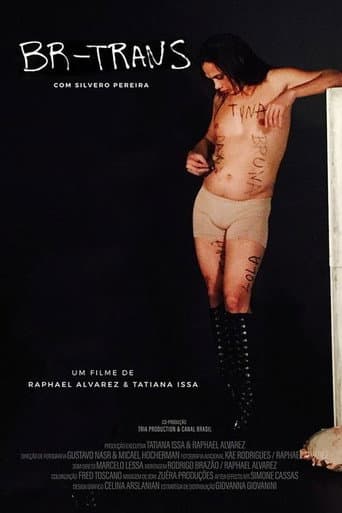 Poster for BR Trans