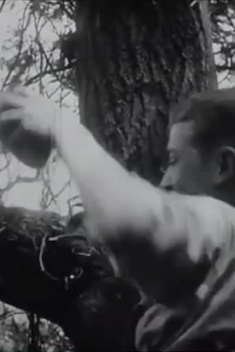 Poster for The Nest Robbers